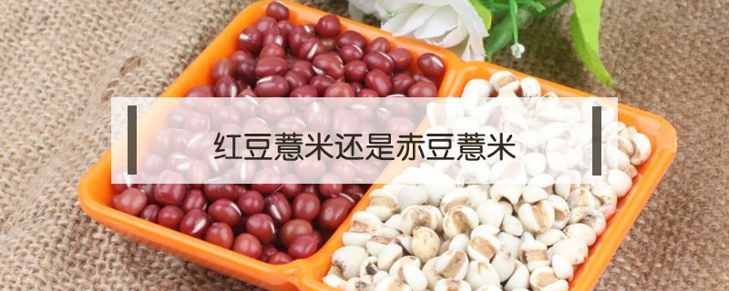 紅豆薏米還是赤豆薏米