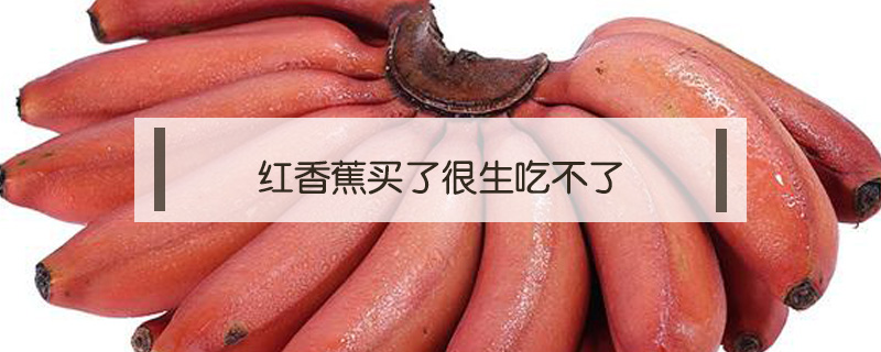 紅香蕉買了很生吃不了