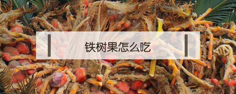 鐵樹果怎么吃