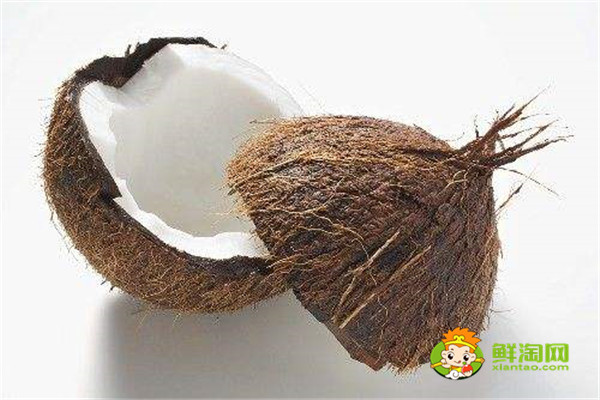 椰子屬于水果還是堅果,椰子屬于核果類水果