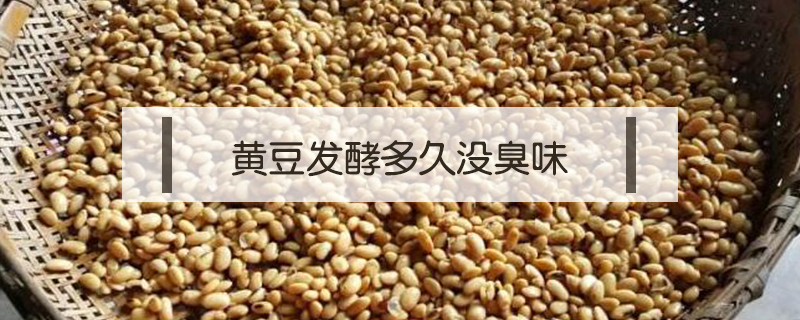 黃豆發酵多久沒臭味