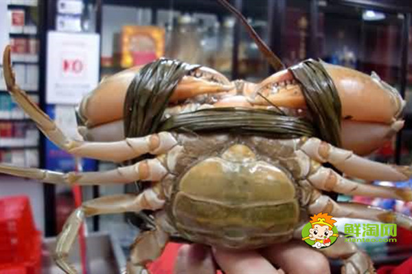 黃油蟹市價多少錢一斤，黃油蟹怎么吃