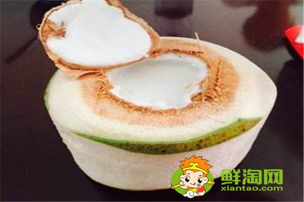 椰漿跟椰汁有什么不同,椰子什么時候成熟