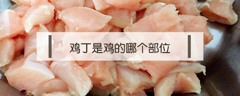 雞丁是雞的哪個(gè)部位