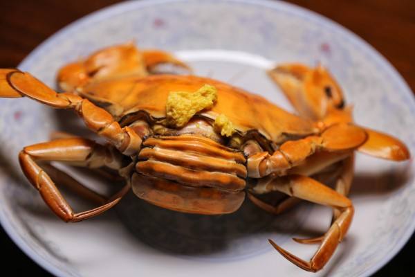 黃油蟹做法都是怎么煮,怎么區分黃油蟹