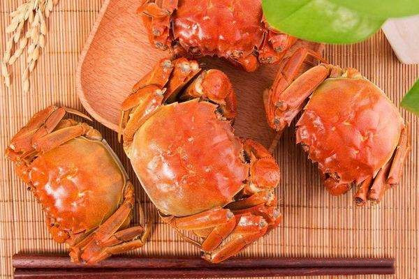 黃油蟹做法都是怎么煮,怎么區分黃油蟹