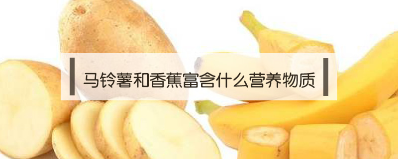 馬鈴薯和香蕉富含什么營(yíng)養(yǎng)物質(zhì)