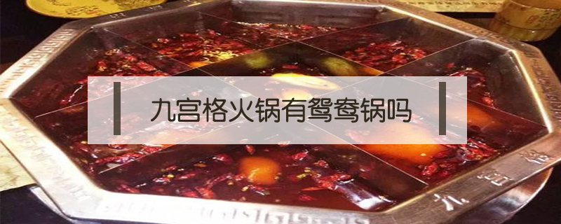 九宮格火鍋有鴛鴦鍋嗎