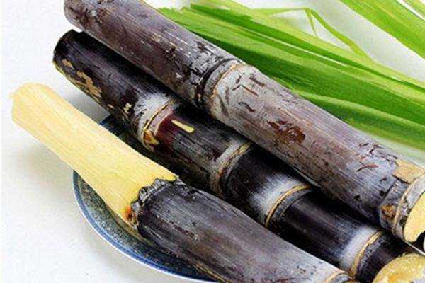 甘蔗是什么季節(jié)的