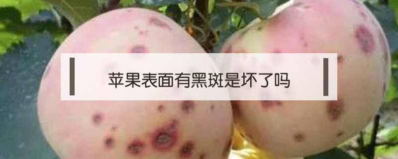 蘋果表面有黑斑是壞了嗎