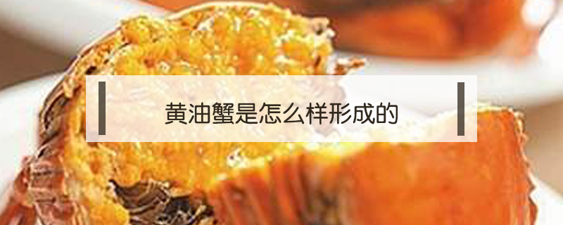 黃油蟹是怎么樣形成的