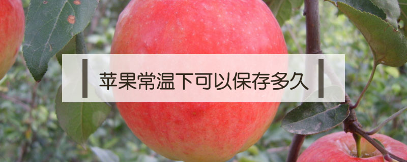 蘋果常溫下可以保存多久