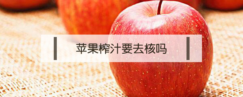 蘋果榨汁要去核嗎