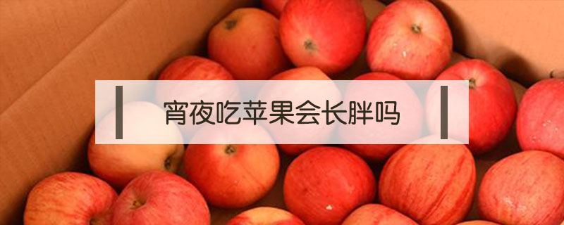 宵夜吃蘋果會長胖嗎