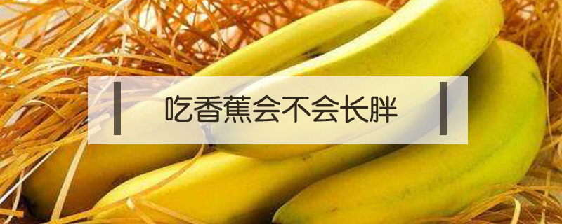 吃香蕉會(huì)不會(huì)長胖
