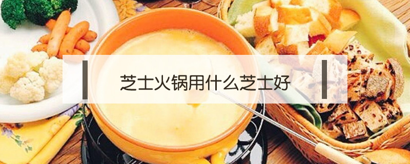芝士火鍋用什么芝士好