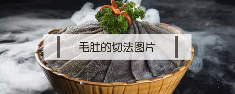 毛肚的切法圖片