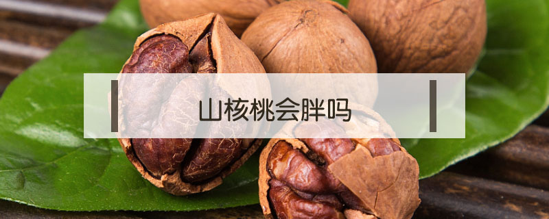 山核桃會(huì)胖嗎