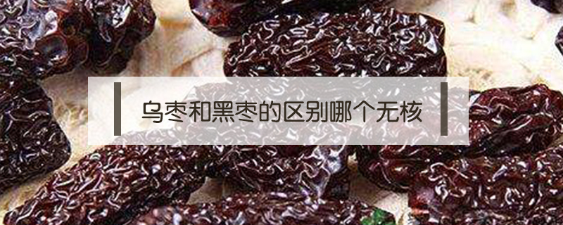烏棗和黑棗的區別哪個無核