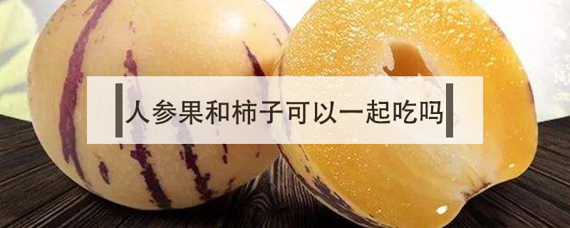 人參果和柿子可以一起吃嗎