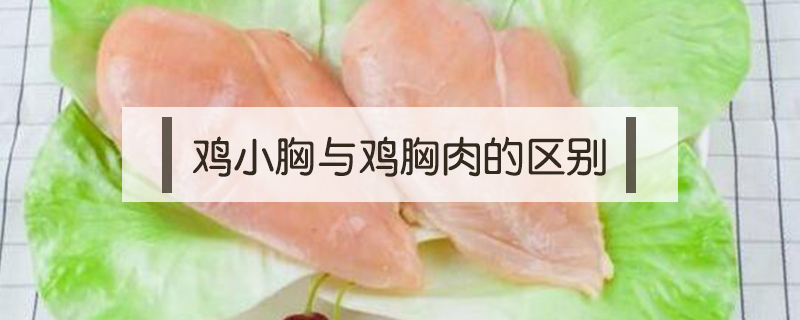 雞小胸與雞胸肉的區別