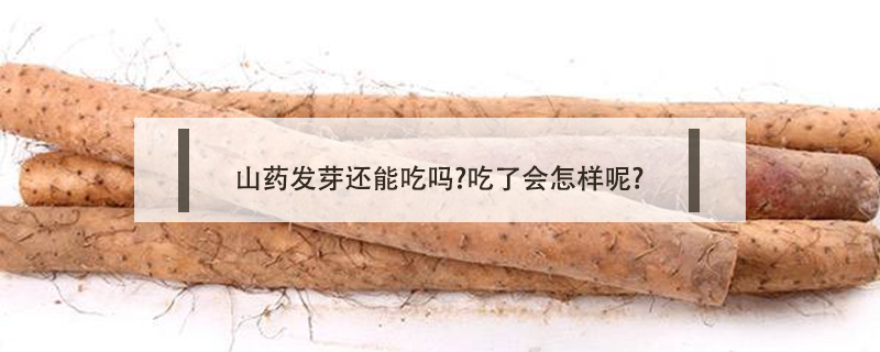 山藥發(fā)芽還能吃嗎?吃了會怎樣呢?