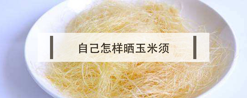 自己怎樣曬玉米須
