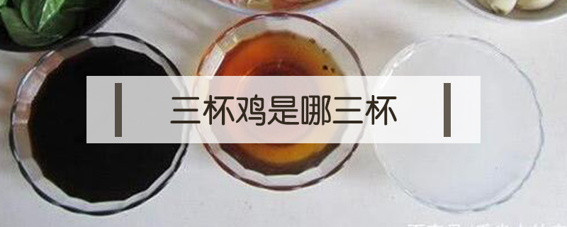 三杯雞是哪三杯