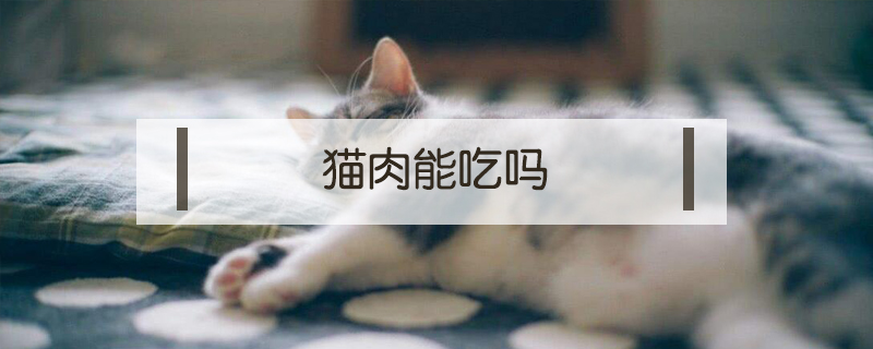 貓肉能吃嗎