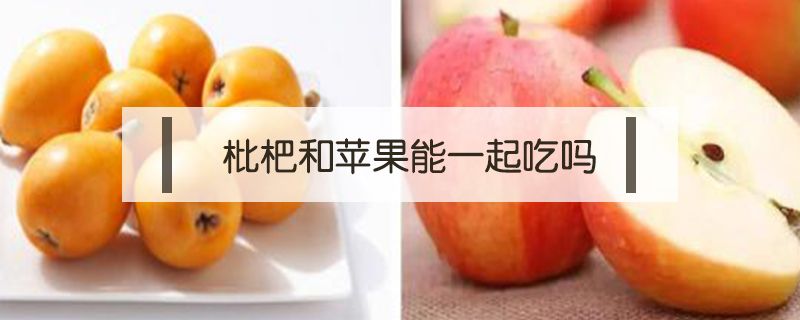 枇杷和蘋(píng)果能一起吃嗎