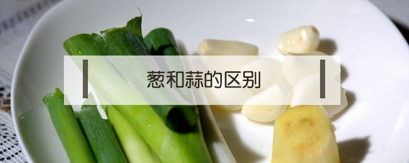 蔥和蒜的區(qū)別