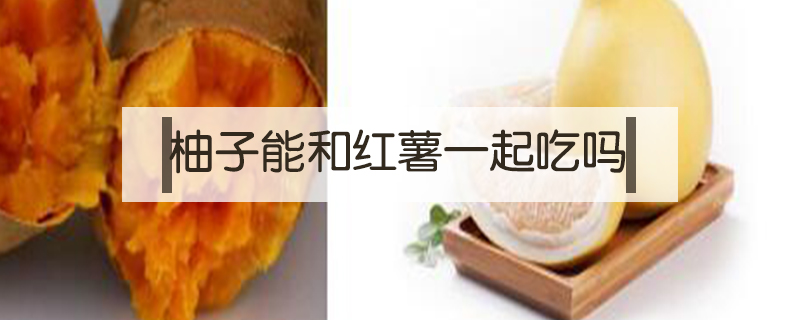 柚子能和紅薯一起吃嗎
