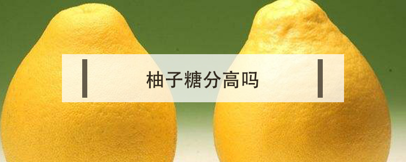 柚子糖分高嗎