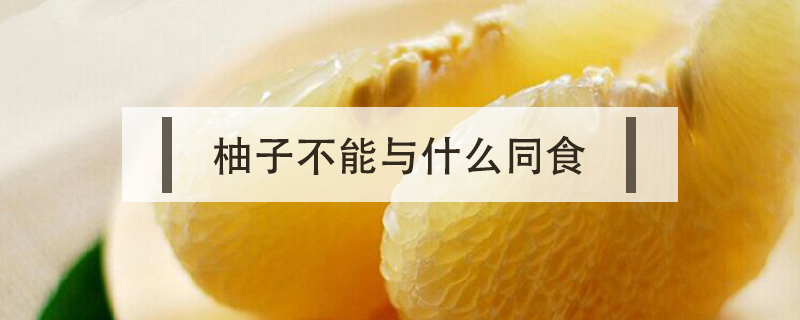 柚子不能與什么同食