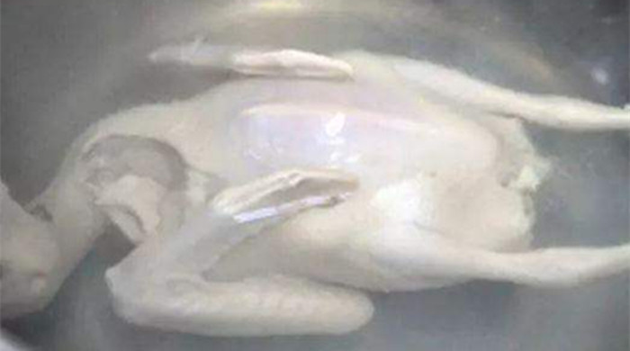 鴿子湯的做法