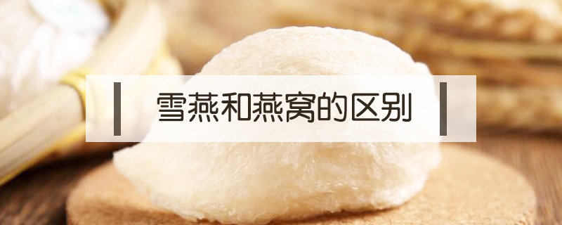 雪燕和燕窩的區別