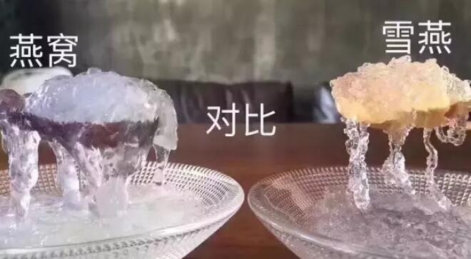 雪燕和燕窩的區別