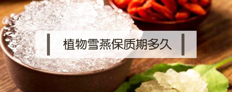 植物雪燕保質期多久