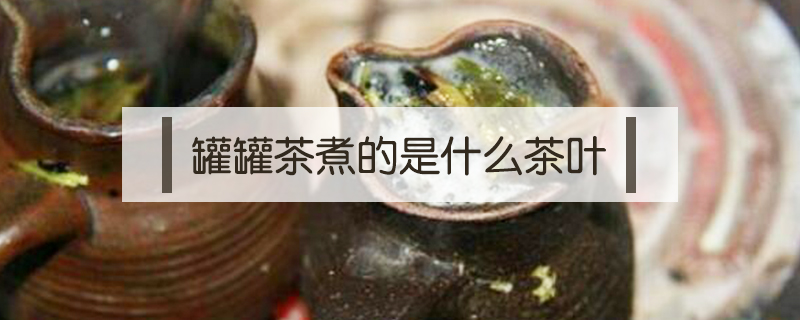 罐罐茶煮的是什么茶葉