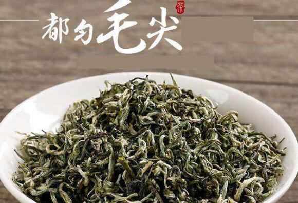 毛尖屬于什么茶