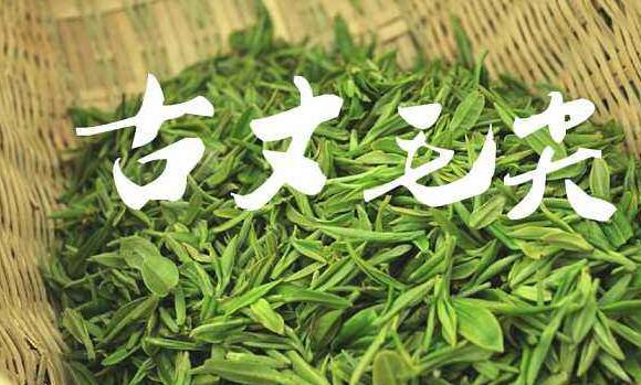 毛尖屬于什么茶
