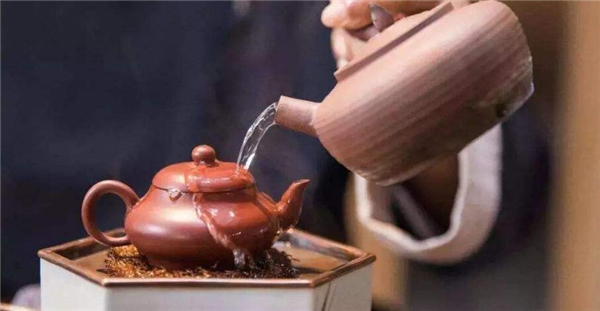 鴨屎香茶哪些人不能飲
