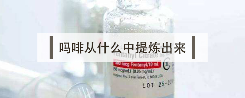 嗎啡從什么中提煉出來，嗎啡從鴉片中提煉出來