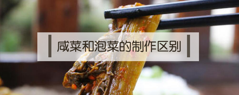 咸菜和泡菜的制作區別