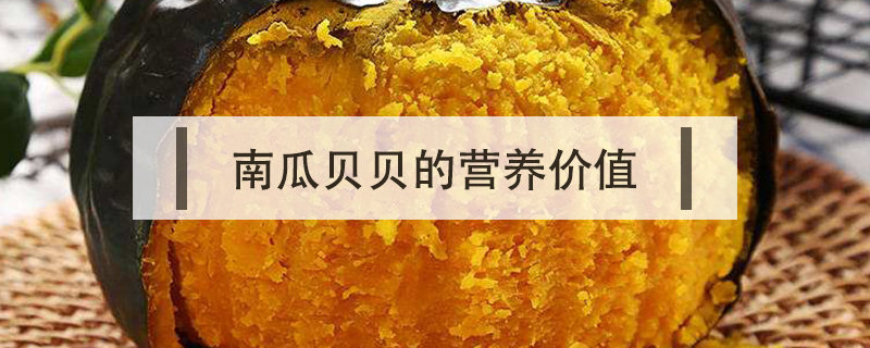 南瓜貝貝的營養(yǎng)價值