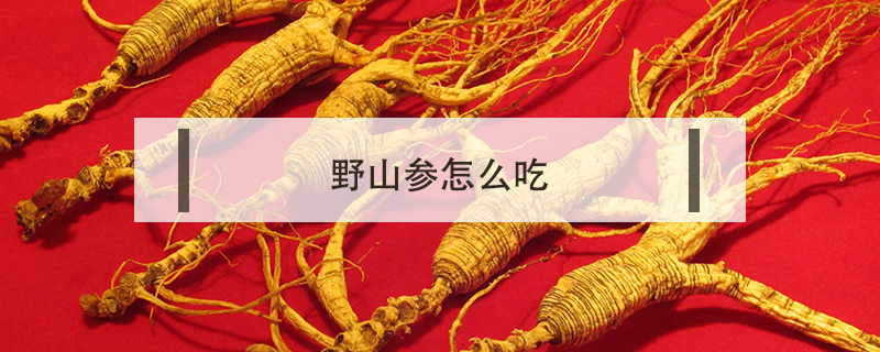 野山參怎么吃