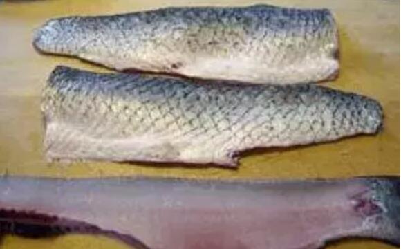 魚(yú)片怎么切