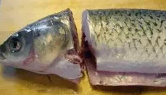 魚(yú)片怎么切