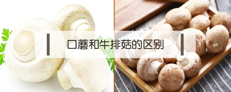 口蘑和牛排菇的區別