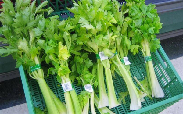 西芹是發(fā)物嗎